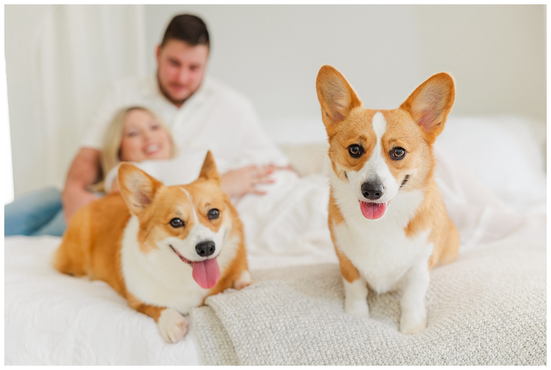 Hannah and Andrew sit on the bed with their dogs for their studio maternity photo shoot at The Rich Hippies House