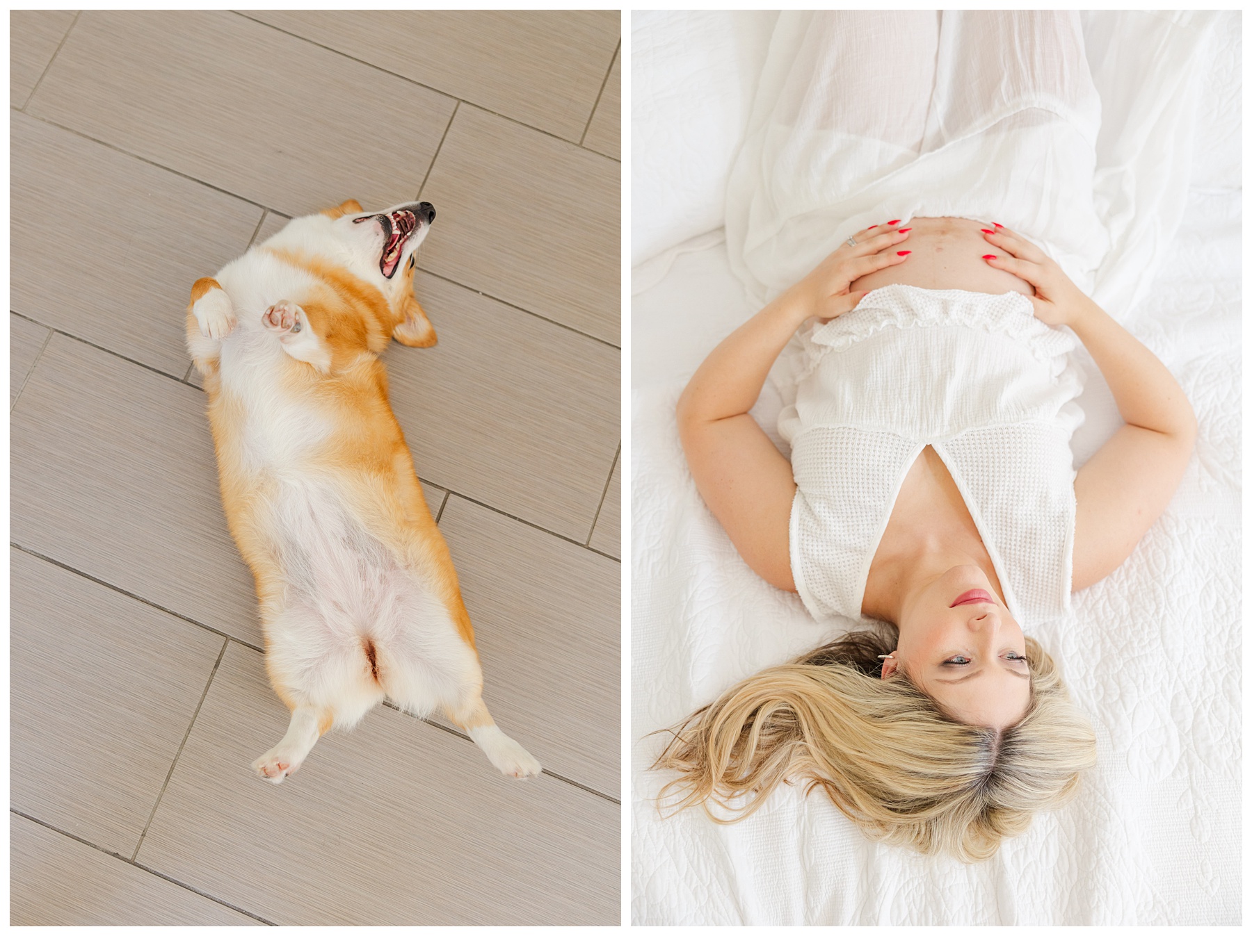 Hannah and Andrew sit on the bed with their dogs for their studio maternity photo shoot at The Rich Hippies House